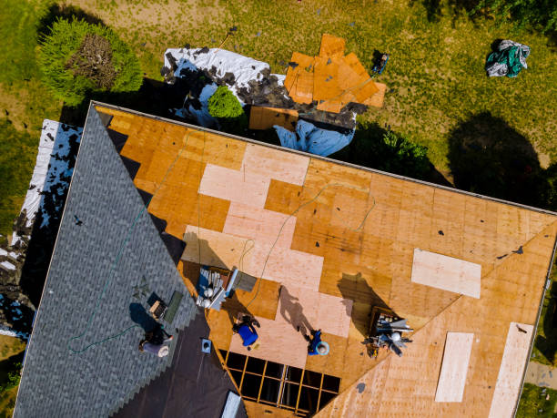 Best Roof Gutter Cleaning  in Grayson, GA