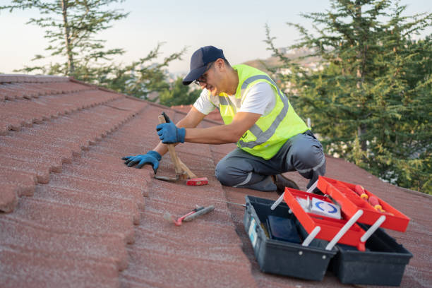 Best Roof Gutter Cleaning  in Grayson, GA