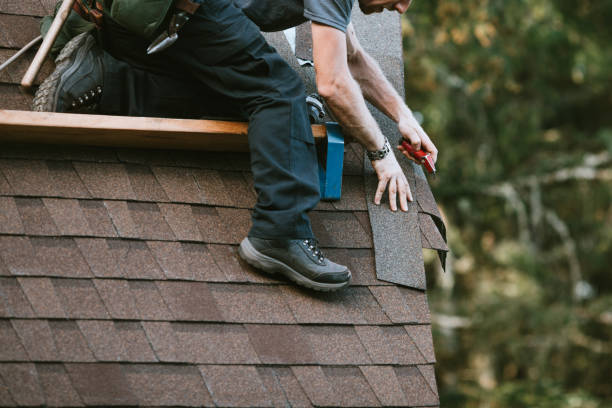 Best Roof Maintenance Services  in Grayson, GA